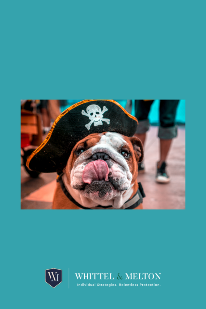 Avast Ye Here Is What You Need To Know To Stay Safe At Gasparilla 2024   Untitled Design 2024 01 18T123429.779 667x1000 